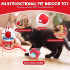 Cat Toy - Smart Chewy Rolling Ball
