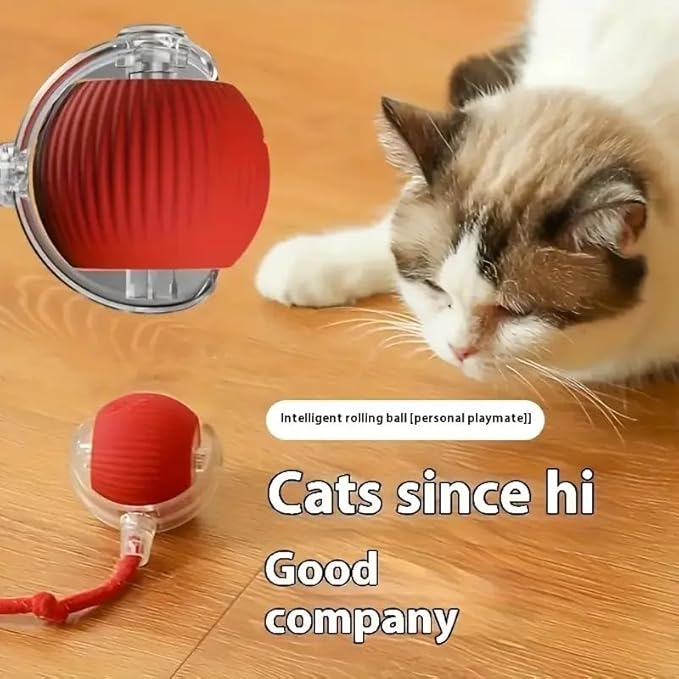 Cat Toy - Smart Chewy Rolling Ball