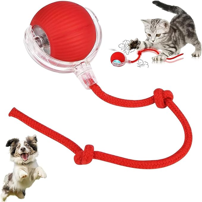 Cat Toy - Smart Chewy Rolling Ball